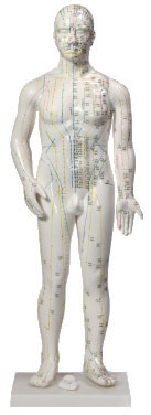 Acupuncture