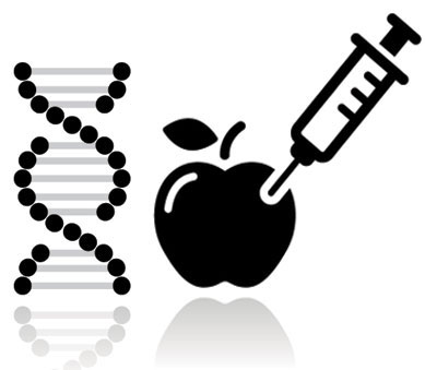 How GMOs are created