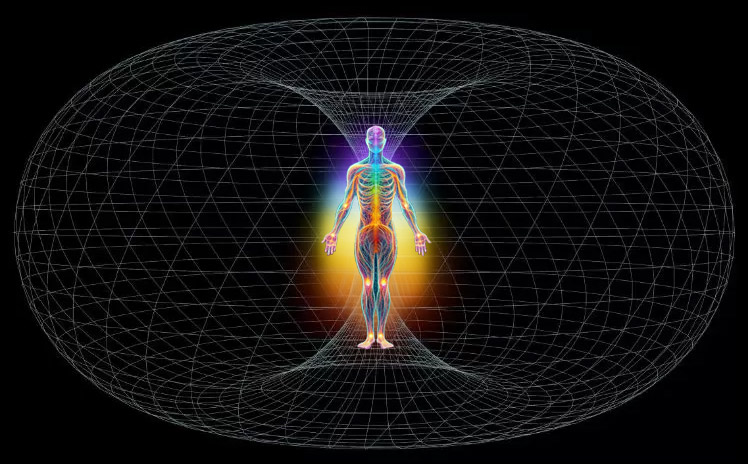 Torus field