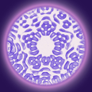 Root chakra