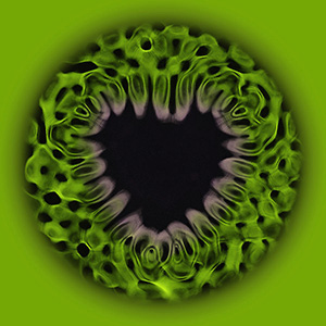 Heart chakra