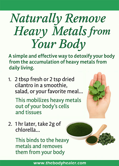 Heavy metal detox