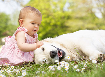 Health dangers of pesticides for children and animals