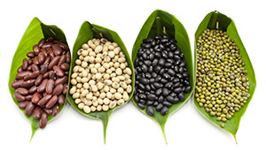 Legumes