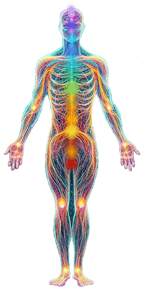 Energy centers - our chakras