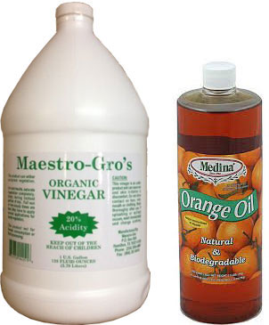 20% horticultural vinegar & orange oil