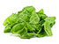 top12spinach