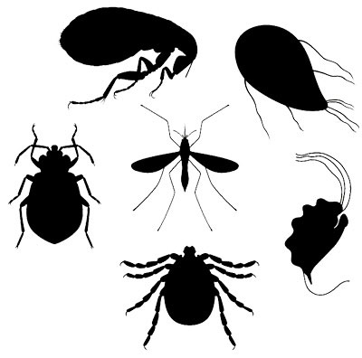 Fleas, ticks, & mosquitoes