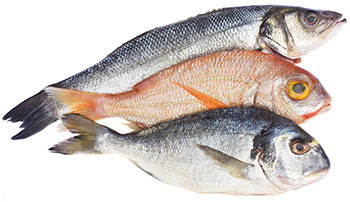 Raw fish