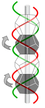 DNA spiraling around a dodecahedral stack
